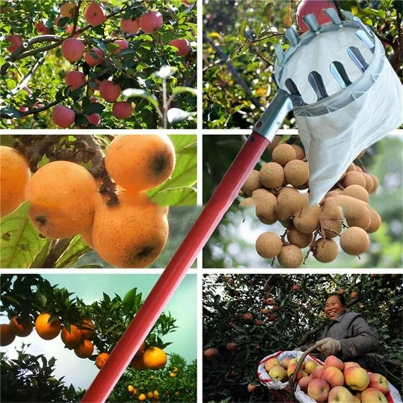 Bonsai Garden Tree - Alat Pemetik Buah Kebun, Kebun Buah