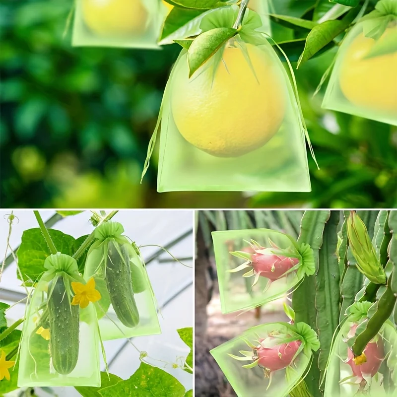 100 Buah Tas Pelindung Hijau d - Bonsai Garden Tree ulasan dan harga
