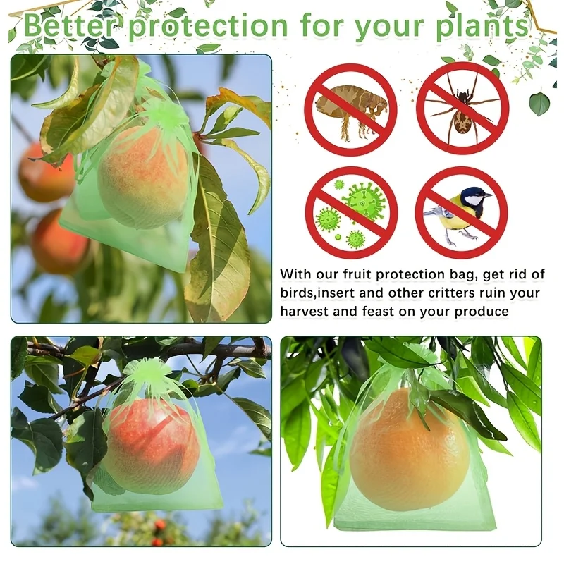 100 Buah Tas Pelindung Hijau d - Bonsai Garden Tree ulasan dan harga