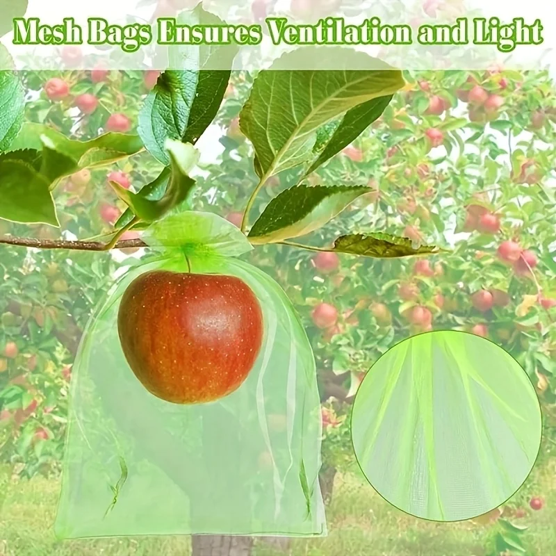 100 Buah Tas Pelindung Hijau d - Bonsai Garden Tree ulasan dan harga