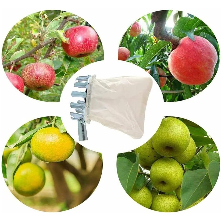 Alat Pemetik Buah Multifungsi  - Bonsai Garden Tree ulasan dan harga