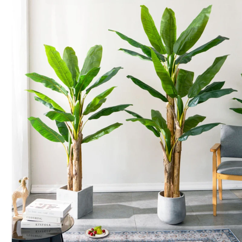 Tanaman Hias Pohon Pisang Besa - Bonsai Garden Restaurant ulasan dan harga