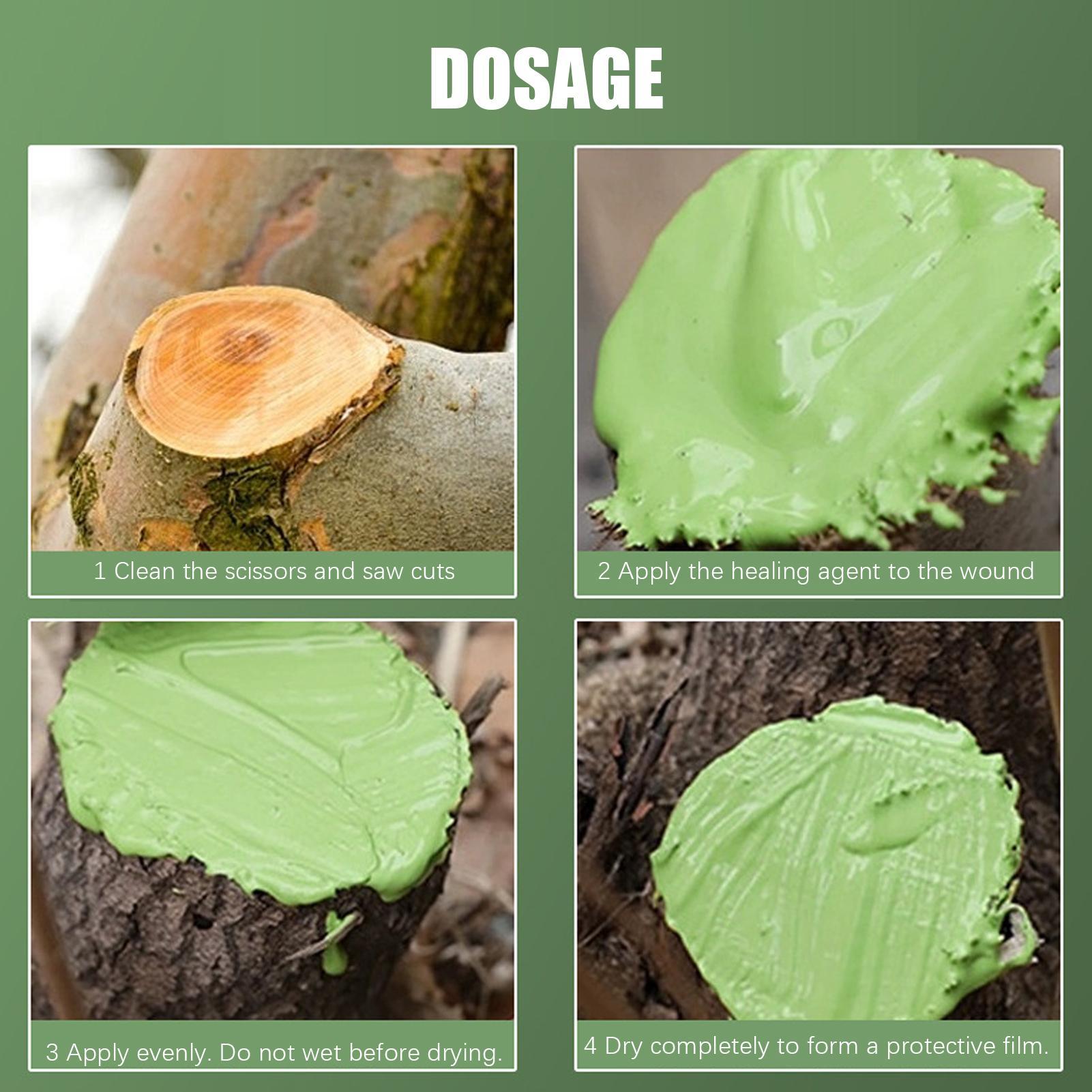 Agen Penyegel Pemangkasan Tana - Bonsai Garden Tree ulasan dan harga