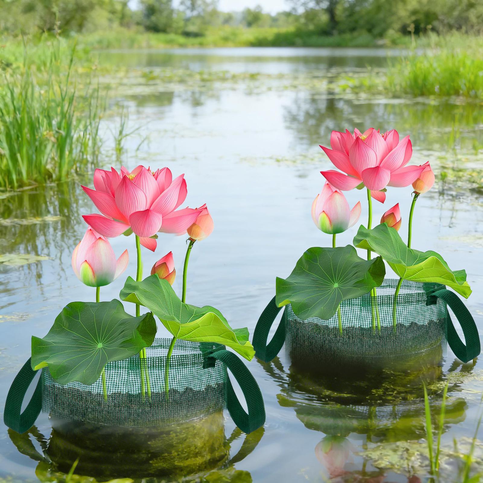 Keranjang Kolam untuk Bonsai 4 - Bonsai Garden With Pond ulasan dan harga