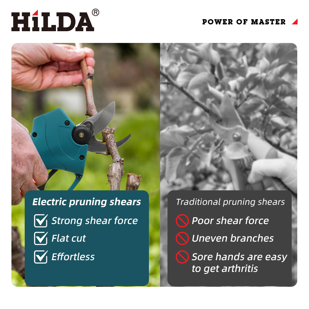 HILDA 18V Gunting Pemangkas Li - Bonsai Garden Tree ulasan dan harga