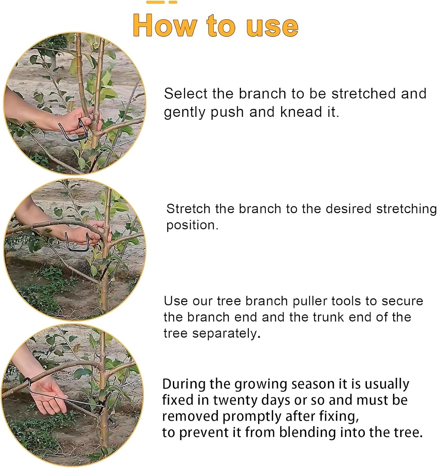 Penyangga Cabang Pohon Buah ya - Bonsai Garden Tree ulasan dan harga