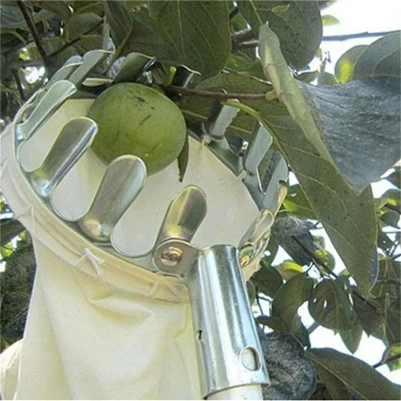 Alat Pemetik Buah Kebun, Kebun - Bonsai Garden Tree ulasan dan harga