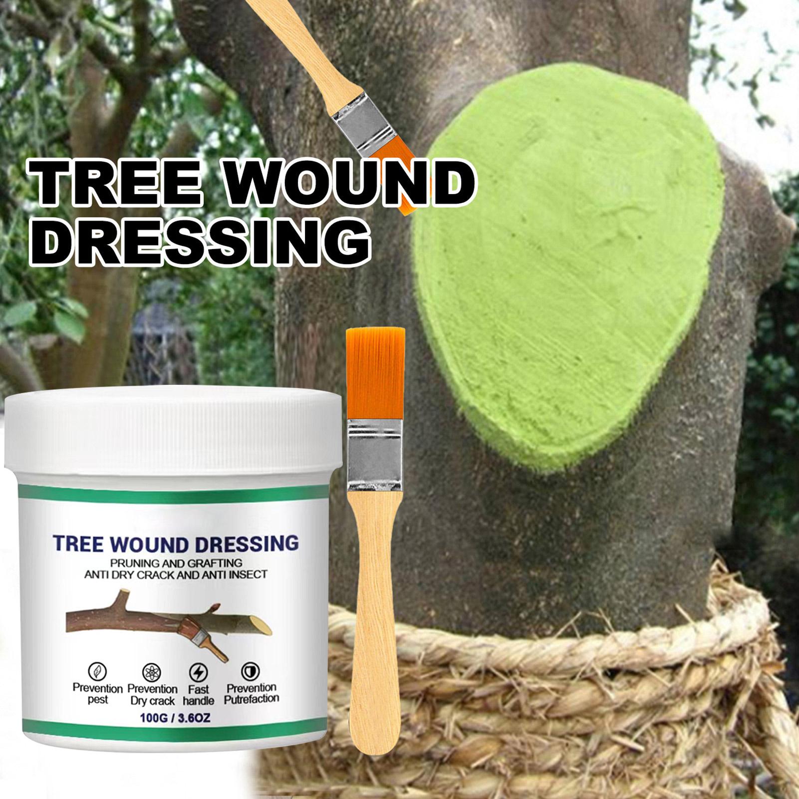 100g Penyegel Luka Pemangkasan - Bonsai Garden Tree ulasan dan harga