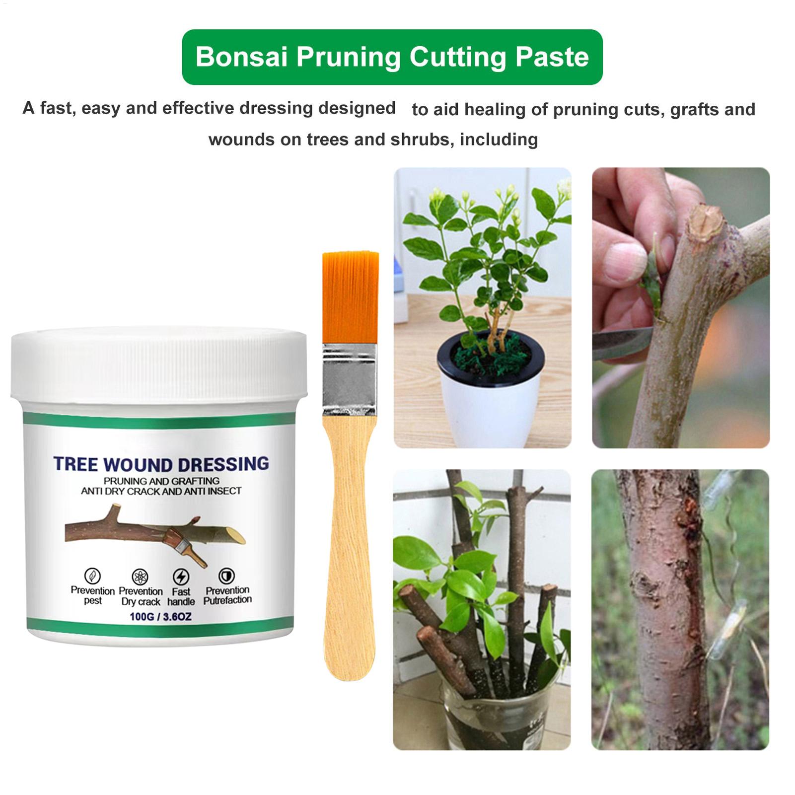 100g Penyegel Luka Pemangkasan - Bonsai Garden Tree ulasan dan harga