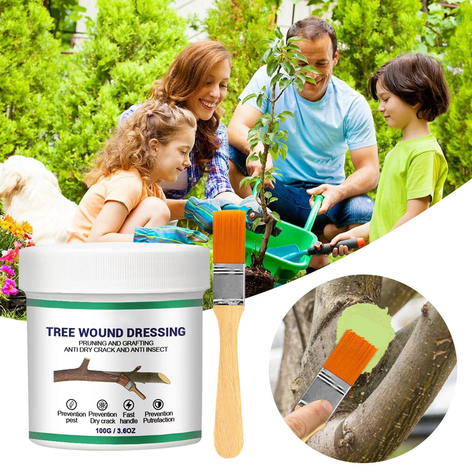 100g Penyegel Luka Pemangkasan - Bonsai Garden Tree ulasan dan harga